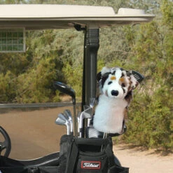 Daphne's Australian Shepherd Headcover